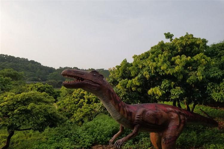 景区地址深圳龙华新区观澜九龙山高尔夫球会入口自驾车从深圳出发进入