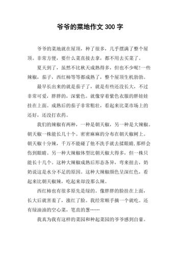 爷爷的菜地作文300字