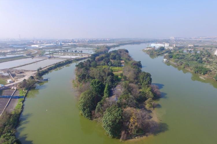 位于河道中的河心岛,既能对城市洪水险情起到缓冲作用,又是野生