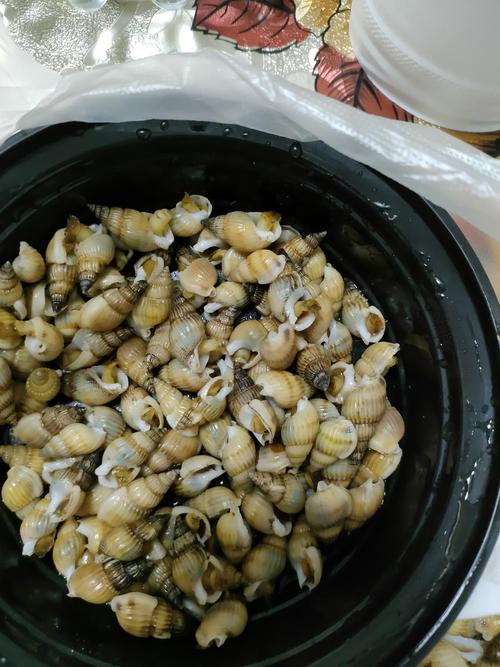 降低浓度 分享美食 "海锥锥"