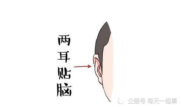 如果两耳贴脑,天生就属于行大运,发大财的面相.