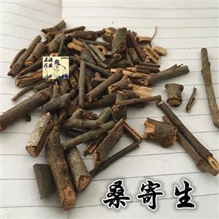             桑寄生 真品桑寄生