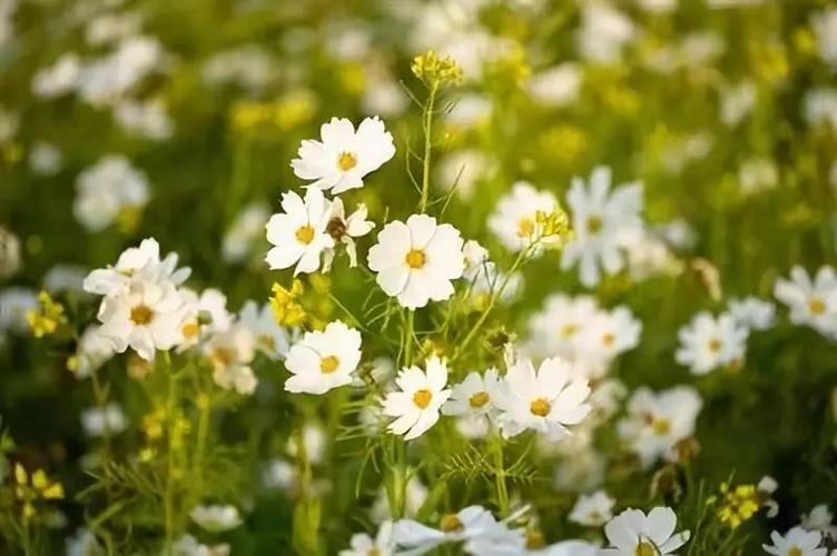 学会体谅,这是一门高级的修养