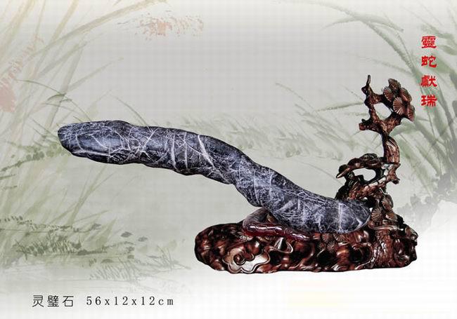 奇石欣赏——灵蛇献瑞