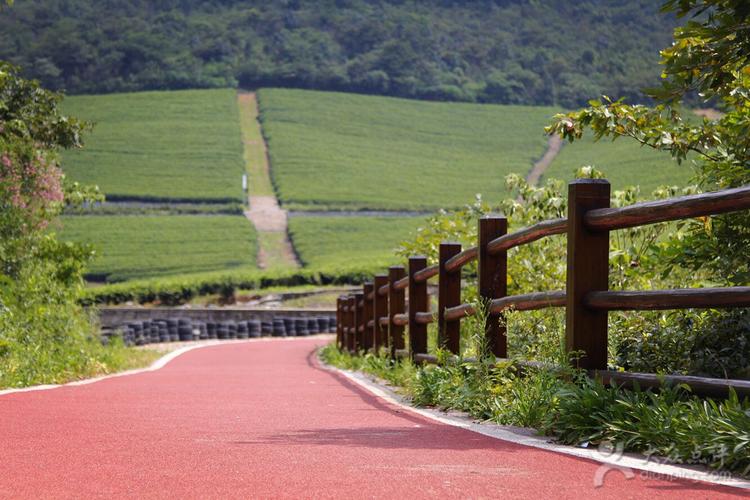 龙池山自行车公园