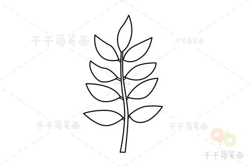 树叶简笔画怎么画