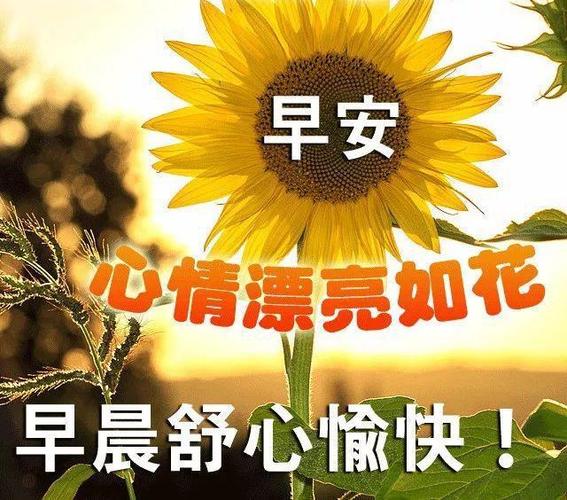 微信冬天早上好阳光暖心问候祝福语大全,早上好问候语