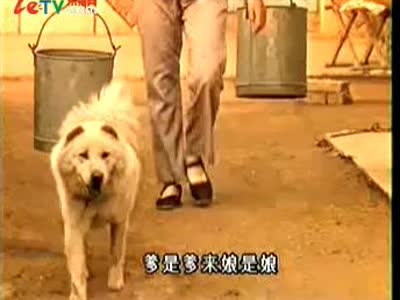 孙国庆:《篱笆墙的影子》