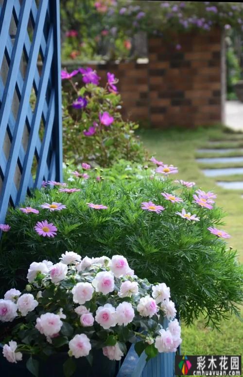 120㎡别墅花园已改造.经过三年的努力,这个小院子已经
