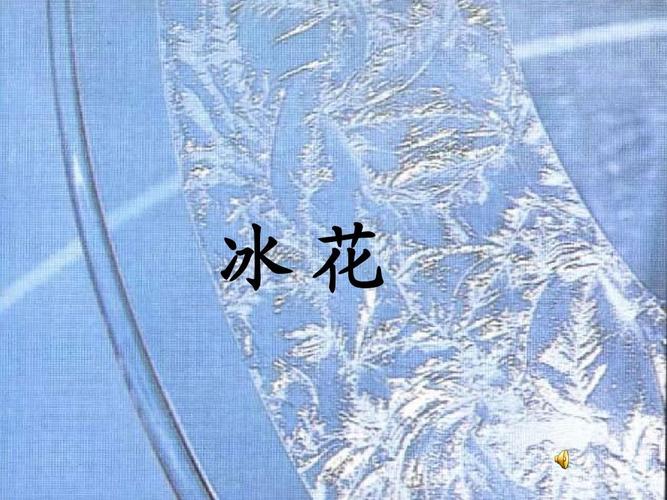 《冰花》课件