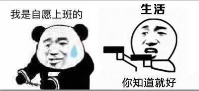 真的全是我自愿的