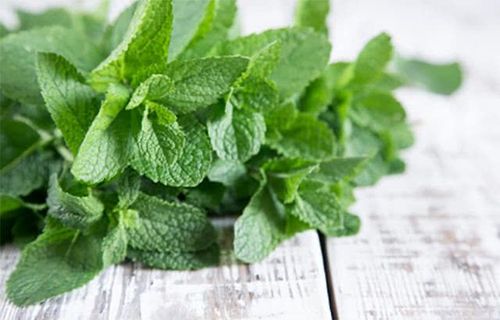 将辣薄荷叶 药鼠尾草 麝香草捣碎,以1:1:1的比例配伍捣碎成汁,涂抹