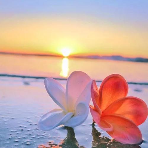 头像|适合做微信头像的阳光唯美太阳图片