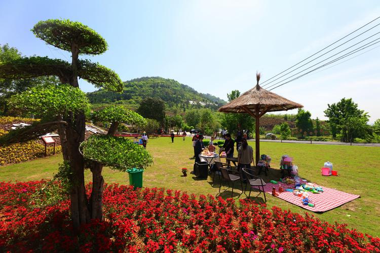 原创京山丁家塝村 :乡村旅游的网红打卡地