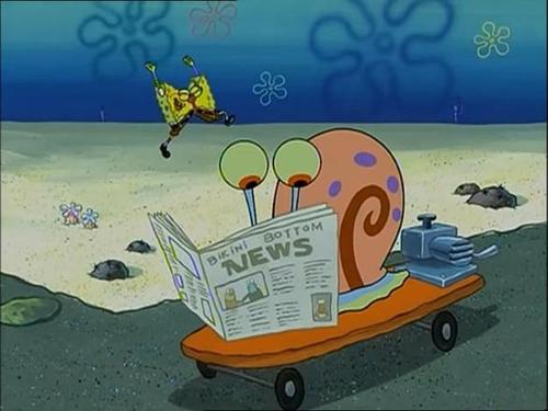 《海绵宝宝》冷知识之小蜗:小蜗和派大星是有血缘关系