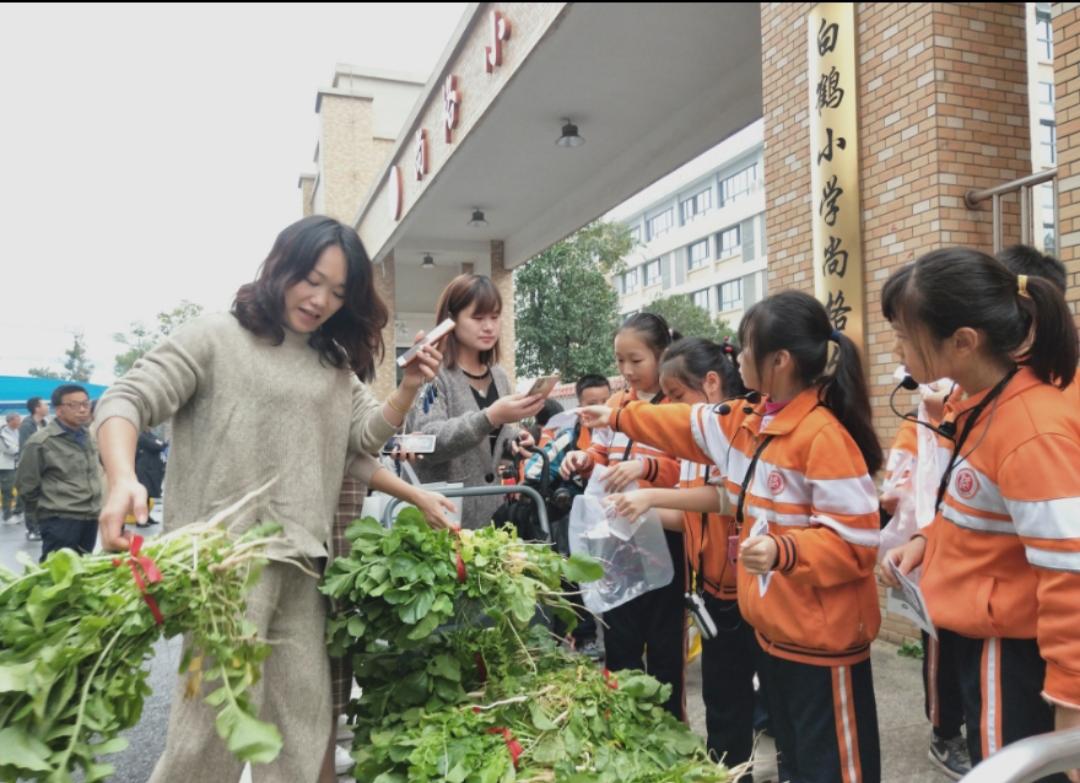 尚格小学:职业体验又开始了_小学·初中_株洲站