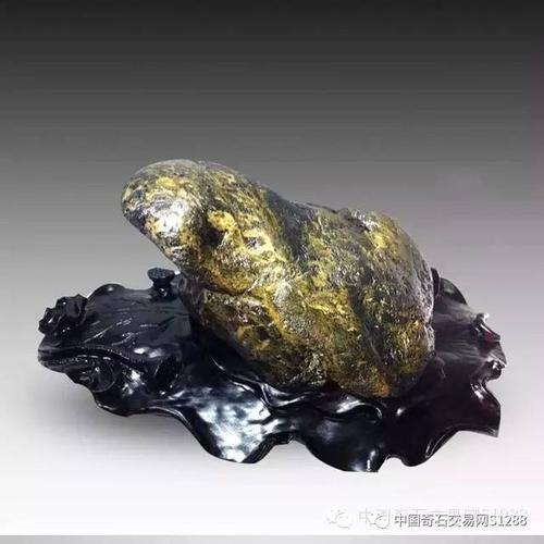精品"金蟾"奇石欣赏!