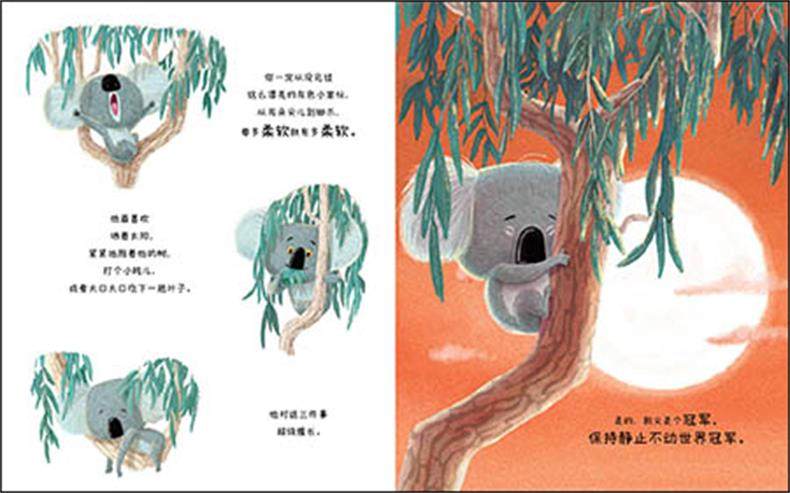 【任选4本49元】平装软皮 考拉做得到/海豚绘本花园 3-6岁儿童图画书