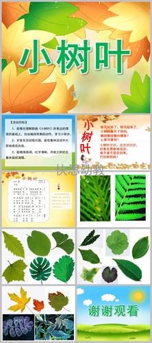 《小树叶》ppt课件教案音乐