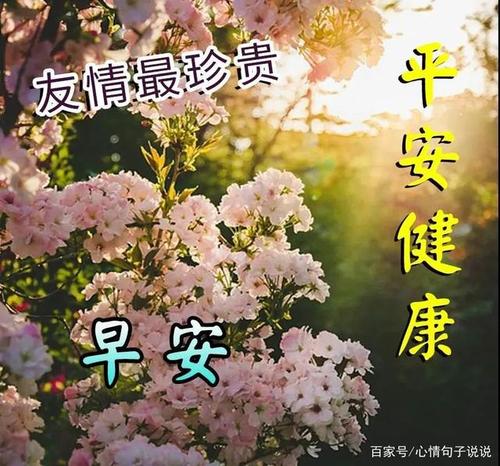 夏日最美早上好图片带字和鲜花,创意好看的夏天早安问候语