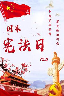 懒人图库提供精品模板,素材下载,本设计作品为2020年国家宪法日海报