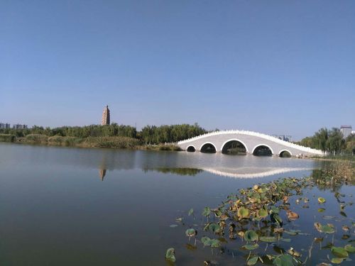 银川美丽的北塔湖
