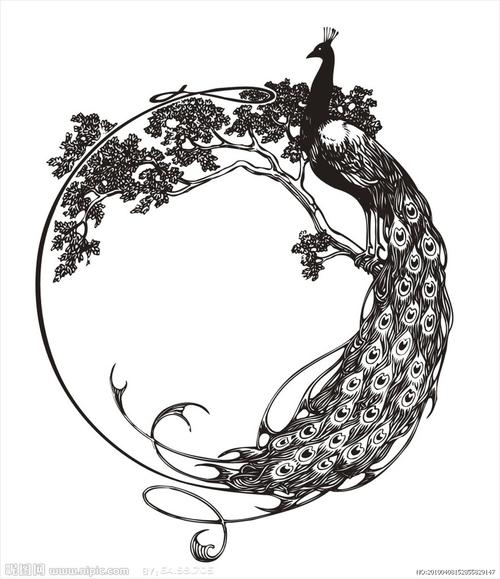 矢量 孔雀矢量图__鸟类_生物世界_矢量图库_昵图网.