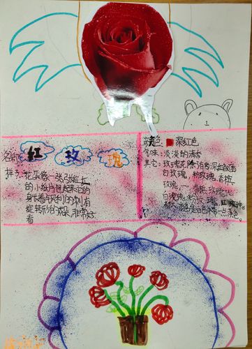 三(6)班植物记录卡