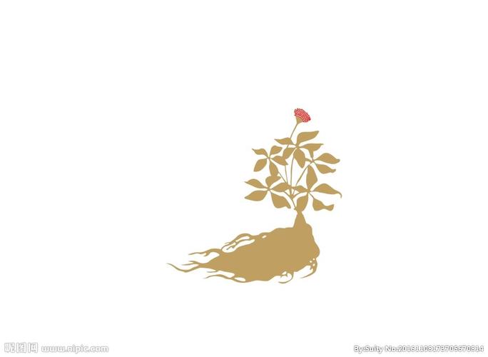 三七图片