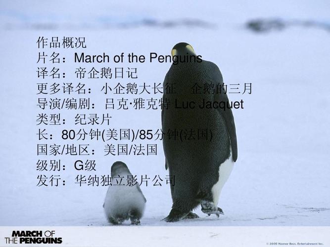 无忧文档 所有分类 资格考试/认证 ppt模板 帝企鹅日记ppt  影片分析