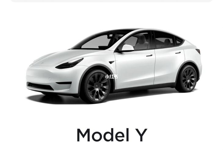 自媒体_毛豆_特斯拉怎么样_汽车_车展_销售_汽车_汽车介绍