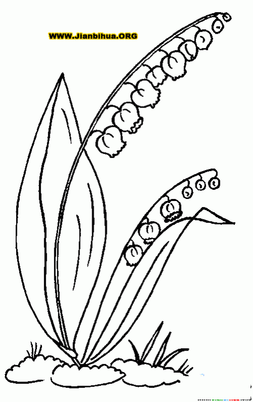 植物花草简笔画图片27张