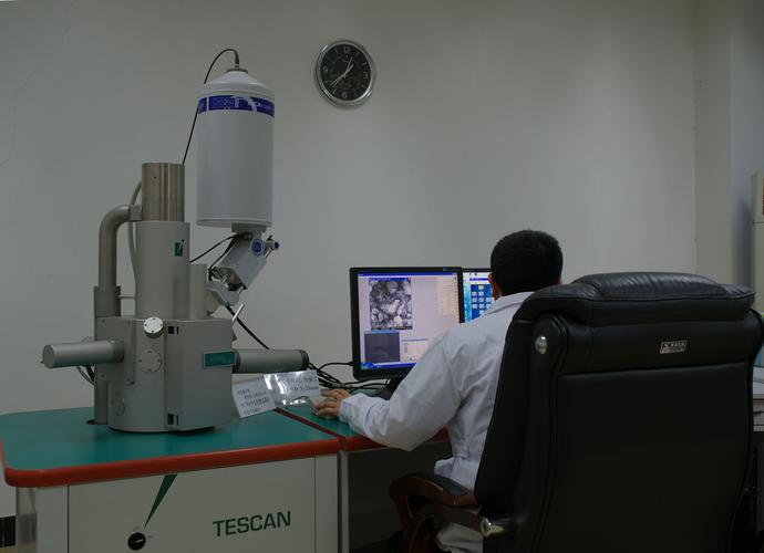 tescan vega2扫描电镜 (eds,可变真空)