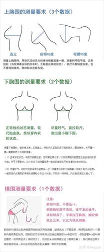 胸围测量方法