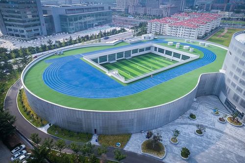 青岛金家岭学校