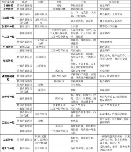 神经系统-脑神经简表