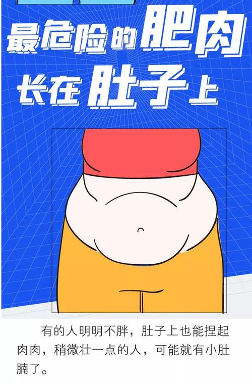 肥肉为什么总长在肚子上一组图看懂附全国肚腩排行榜