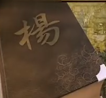 杨氏家族宣传片上海宣传片制作