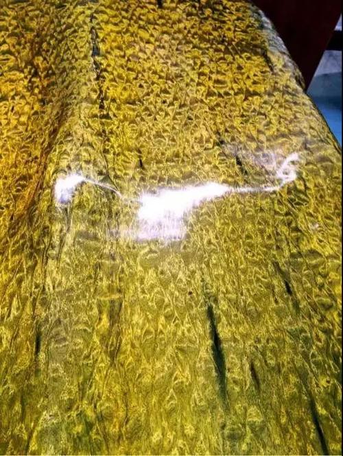 埋藏地下上亿年的阴沉木竟是一块极品金丝楠木