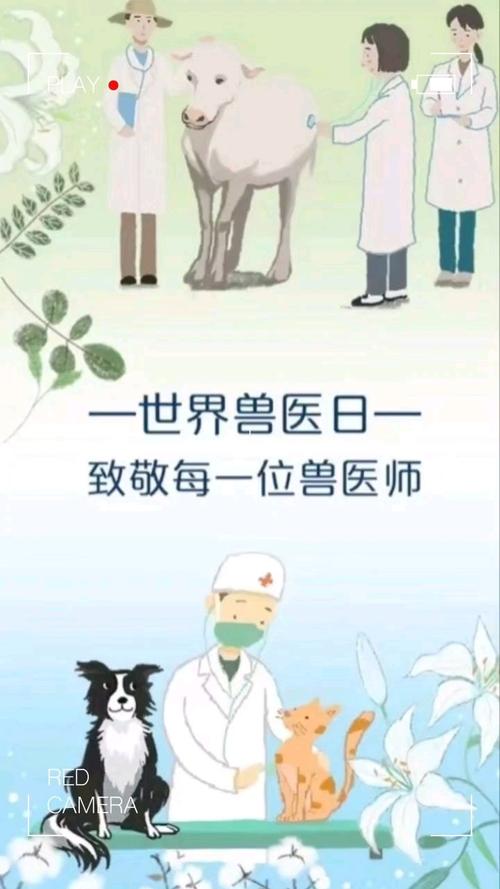 宠物_工作_出差_世界兽医日_素材
