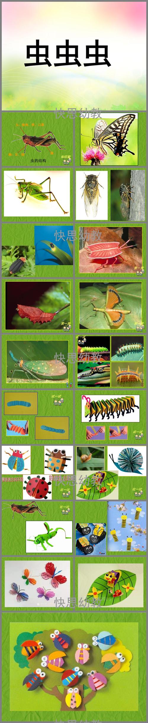 大班手工《虫虫虫》ppt课件