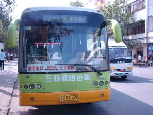三亚旅游 公交 水果介绍