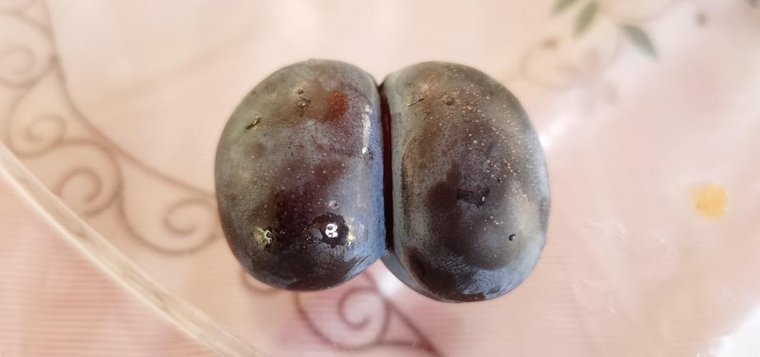 嘉峪关买的西梅,居然有颗双生果,定是说车队这次会顺风顺水