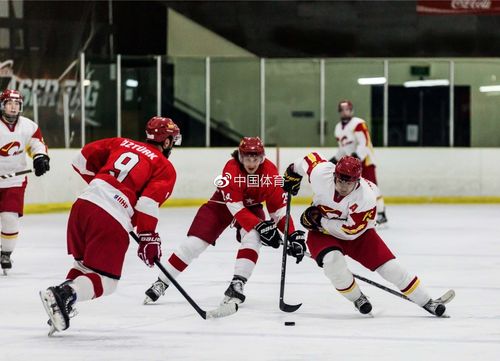男子冰球世锦赛乙级b组比赛中国队四连胜提前夺冠升组