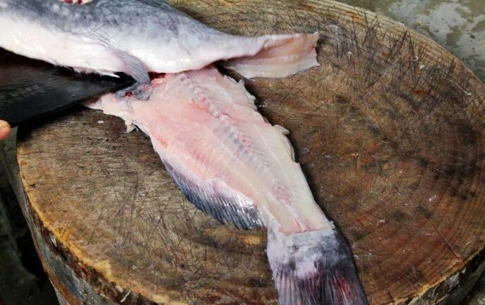 鱼杀了明天吃怎么保鲜