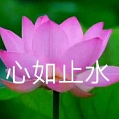 有丰富生活阅历和岁月积淀(年纪大了)的丧逼们,头像和表情包的选用应