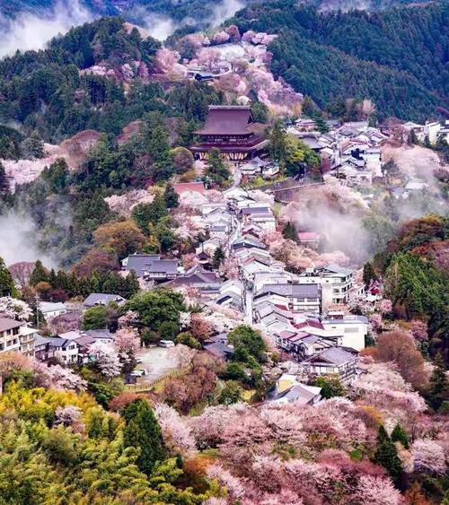 日本最美的赏樱花胜地