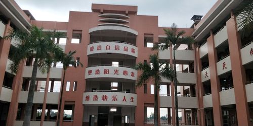 广东省【强师工程]跨年度递进式培训(佛山市南海区里水镇和顺小学)