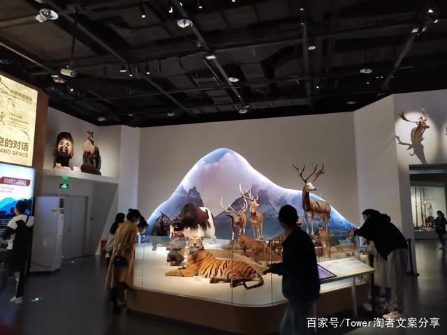 成都博物馆人与自然-贝林捐赠展