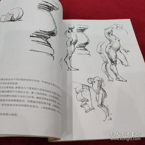 伯里曼人体结构绘画教学(白金版)